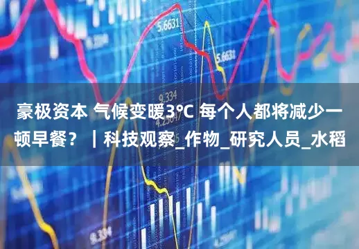 豪极资本 气候变暖3℃ 每个人都将减少一顿早餐？｜科技观察_作物_研究人员_水稻