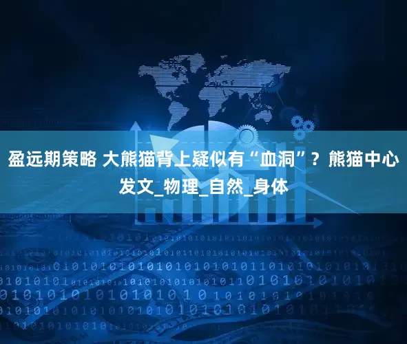 盈远期策略 大熊猫背上疑似有“血洞”？熊猫中心发文_物理_自然_身体