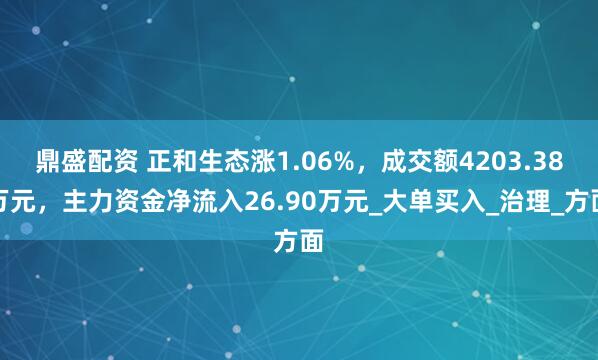 鼎盛配资 正和生态涨1.06%，成交额4203.38万元，主力资金净流入26.90万元_大单买入_治理_方面