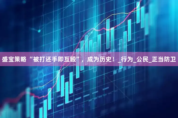 盛宝策略 “被打还手即互殴”，成为历史！_行为_公民_正当防卫