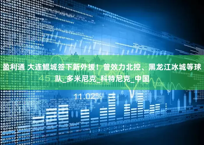 盈利通 大连鲲城签下新外援！曾效力北控、黑龙江冰城等球队_多米尼克_科特尼克_中国