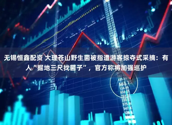 无锡恒鑫配资 大理苍山野生菌被指遭游客掠夺式采摘：有人“掘地三尺找菌子”，官方称将加强巡护