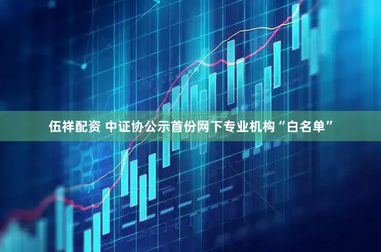 伍祥配资 中证协公示首份网下专业机构“白名单”