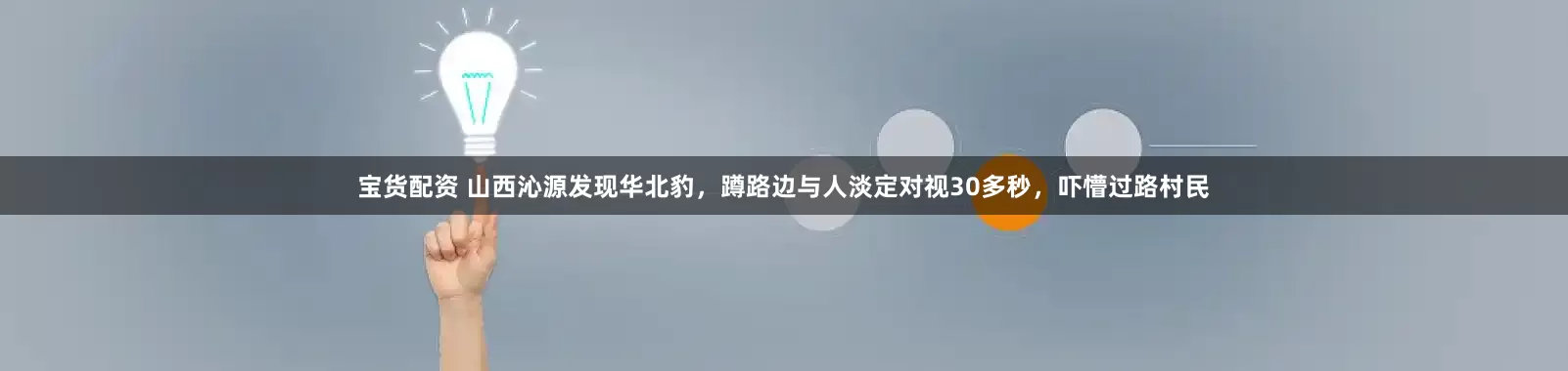 宝货配资 山西沁源发现华北豹，蹲路边与人淡定对视30多秒，吓懵过路村民
