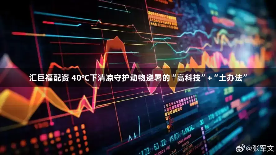 汇巨福配资 40℃下清凉守护动物避暑的“高科技”+“土办法”